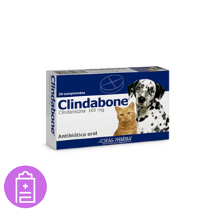 Clindabone