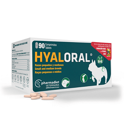 Hyaloral razas pequeñas